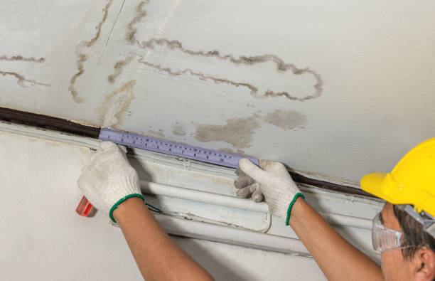 Affordable Water Damage Repair solutions in Lochgelly, WV